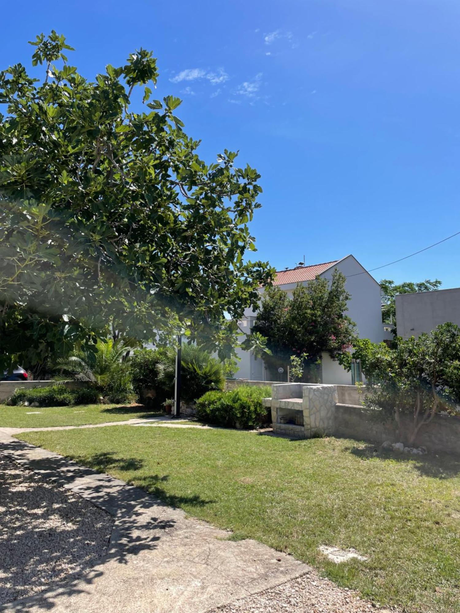 Apartament House Susec Povljana Zewnętrze zdjęcie